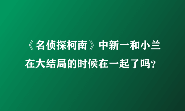 《名侦探柯南》中新一和小兰在大结局的时候在一起了吗？