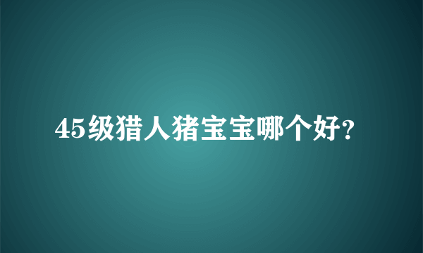 45级猎人猪宝宝哪个好？