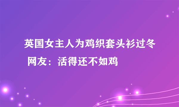 英国女主人为鸡织套头衫过冬 网友：活得还不如鸡