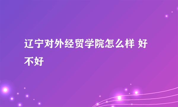 辽宁对外经贸学院怎么样 好不好