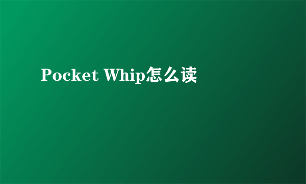 Pocket Whip怎么读