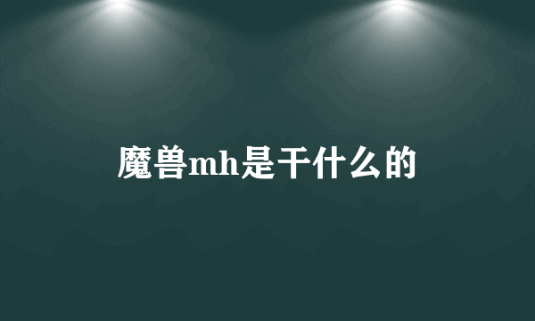 魔兽mh是干什么的