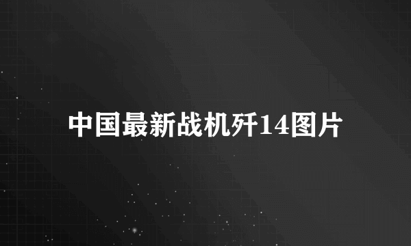 中国最新战机歼14图片