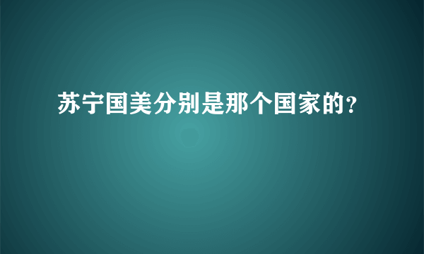 苏宁国美分别是那个国家的？