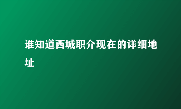 谁知道西城职介现在的详细地址