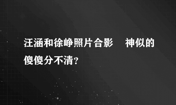 汪涵和徐峥照片合影    神似的傻傻分不清？