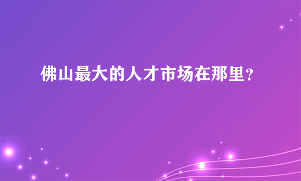 佛山最大的人才市场在那里？