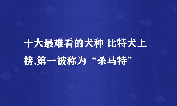 十大最难看的犬种 比特犬上榜,第一被称为“杀马特”