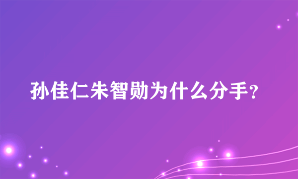 孙佳仁朱智勋为什么分手？