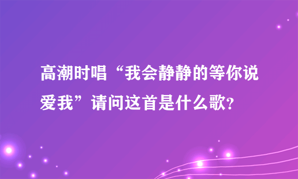 高潮时唱“我会静静的等你说爱我”请问这首是什么歌？