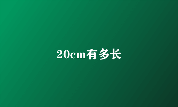 20cm有多长