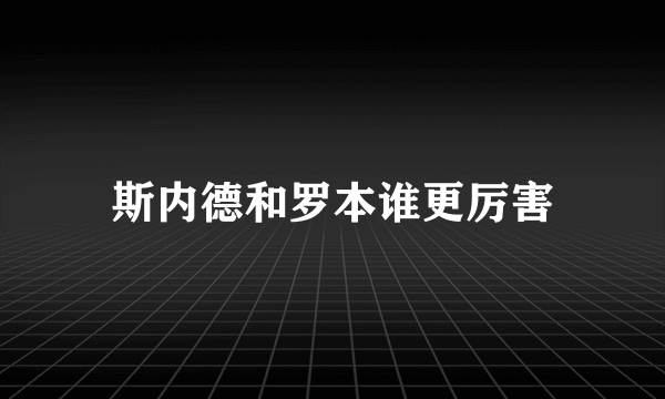 斯内德和罗本谁更厉害