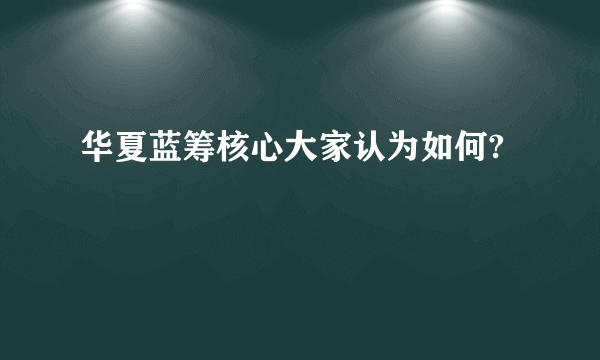 华夏蓝筹核心大家认为如何?