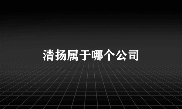 清扬属于哪个公司