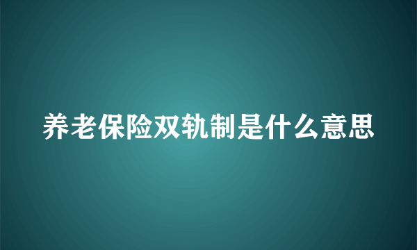 养老保险双轨制是什么意思