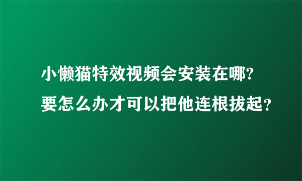 小懒猫特效视频会安装在哪? 要怎么办才可以把他连根拔起？