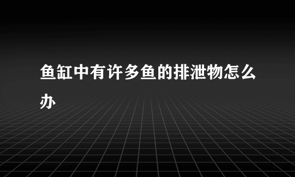 鱼缸中有许多鱼的排泄物怎么办