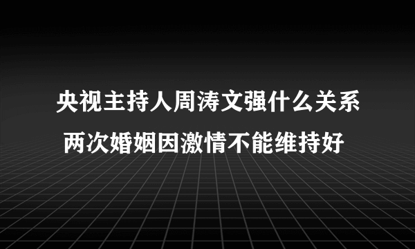 央视主持人周涛文强什么关系 两次婚姻因激情不能维持好