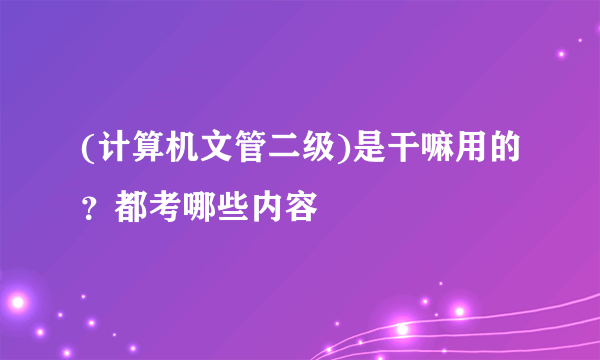 (计算机文管二级)是干嘛用的？都考哪些内容