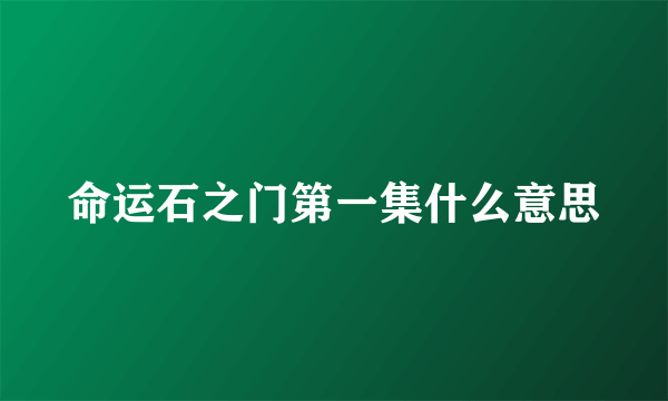 命运石之门第一集什么意思