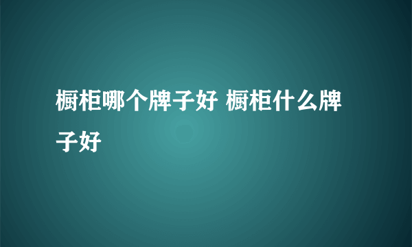 橱柜哪个牌子好 橱柜什么牌子好