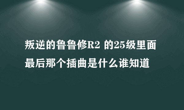 叛逆的鲁鲁修R2 的25级里面最后那个插曲是什么谁知道