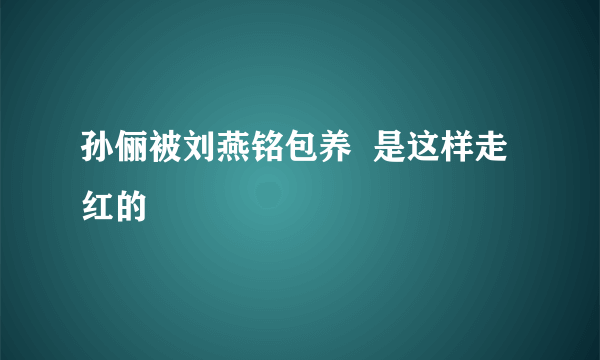 孙俪被刘燕铭包养  是这样走红的