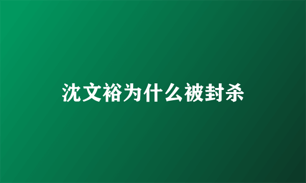 沈文裕为什么被封杀