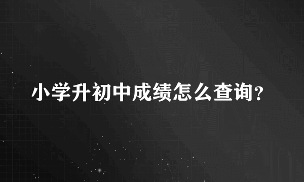 小学升初中成绩怎么查询？