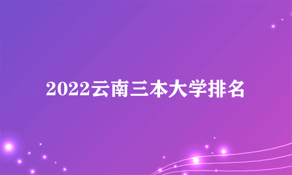 2022云南三本大学排名