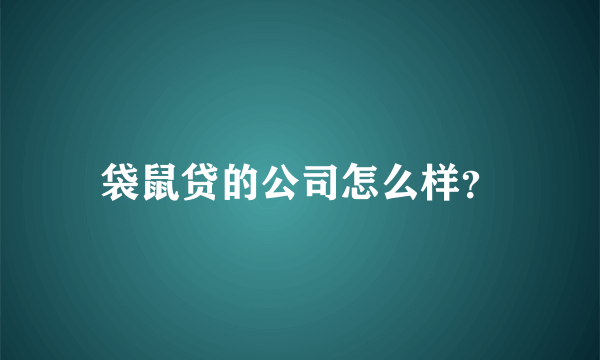 袋鼠贷的公司怎么样？