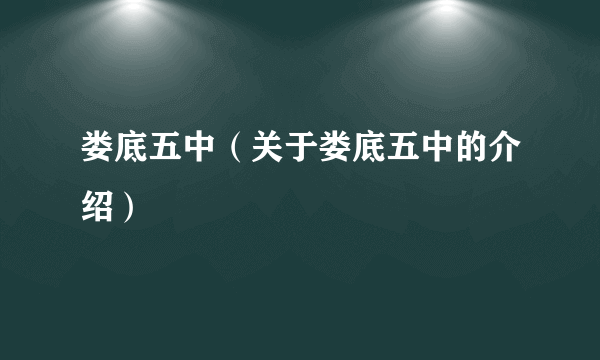 娄底五中（关于娄底五中的介绍）