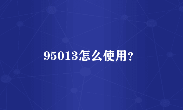 95013怎么使用？