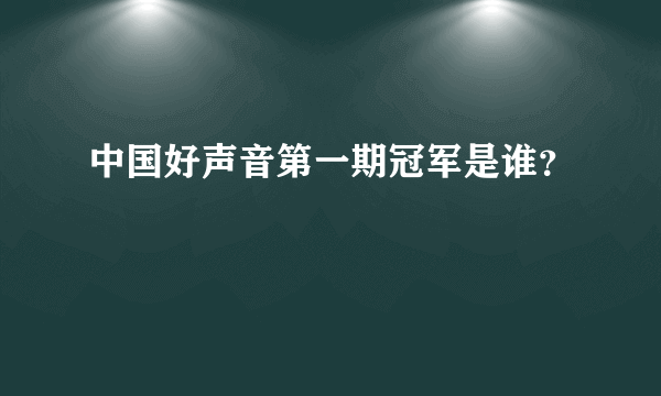 中国好声音第一期冠军是谁？