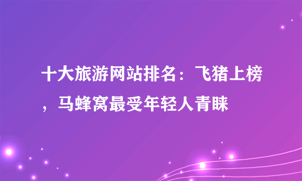 十大旅游网站排名：飞猪上榜，马蜂窝最受年轻人青睐