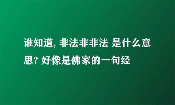 谁知道, 非法非非法 是什么意思? 好像是佛家的一句经