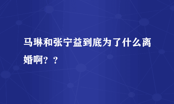 马琳和张宁益到底为了什么离婚啊？？