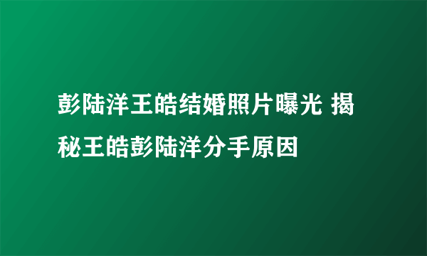 彭陆洋王皓结婚照片曝光 揭秘王皓彭陆洋分手原因