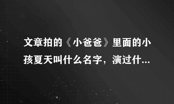 文章拍的《小爸爸》里面的小孩夏天叫什么名字，演过什么电视？