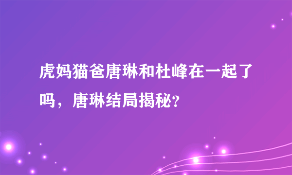 虎妈猫爸唐琳和杜峰在一起了吗，唐琳结局揭秘？