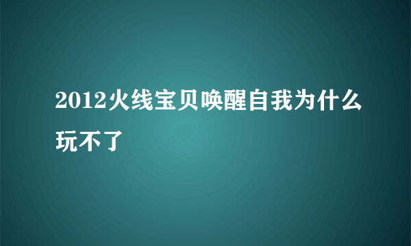 2012火线宝贝唤醒自我为什么玩不了