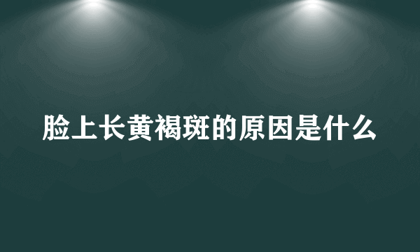 脸上长黄褐斑的原因是什么