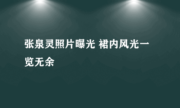 张泉灵照片曝光 裙内风光一览无余