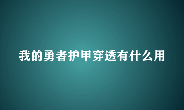 我的勇者护甲穿透有什么用