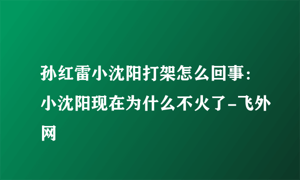 孙红雷小沈阳打架怎么回事：小沈阳现在为什么不火了-飞外网