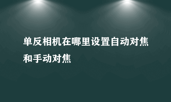 单反相机在哪里设置自动对焦和手动对焦