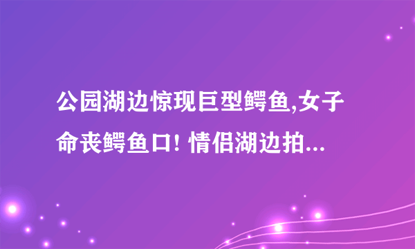 公园湖边惊现巨型鳄鱼,女子命丧鳄鱼口! 情侣湖边拍照聊天,女友竟被超级巨鳄一口吞 这视频是真的还是假的