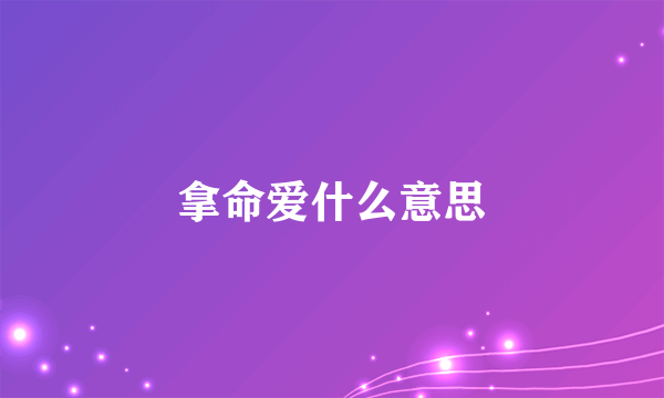 拿命爱什么意思