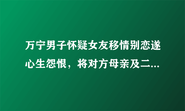 万宁男子怀疑女友移情别恋遂心生怨恨，将对方母亲及二姐连捅数刀致身亡，近日被执行枪决，你怎么看？