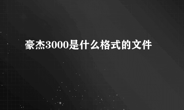 豪杰3000是什么格式的文件